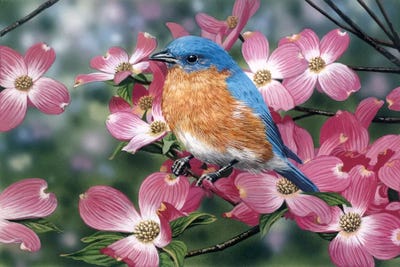 Blue Bird Pink Flowers 1859 Canvas Art Print Poster